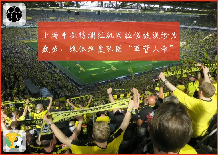 上海申花特谢拉肌肉拉伤被误诊为疲劳,媒体炮轰队医“草菅人命”