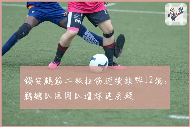 锡安腿筋二级拉伤连续缺阵12场，鹈鹕队医团队遭球迷质疑