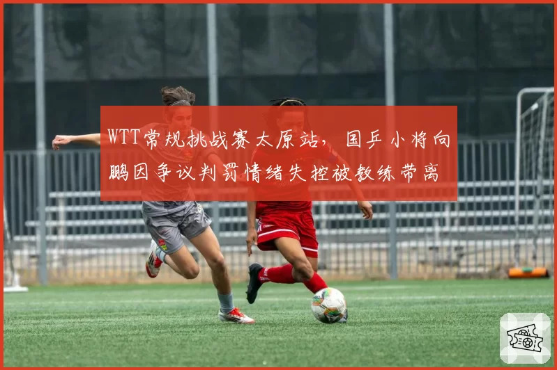 WTT常规挑战赛太原站,国乒小将向鹏因争议判罚情绪失控被教练带离