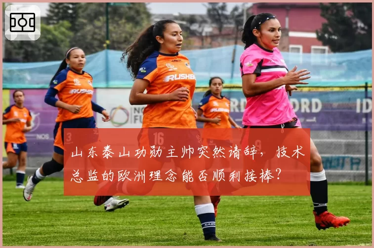 山东泰山功勋主帅突然请辞,技术总监的欧洲理念能否顺利接棒?